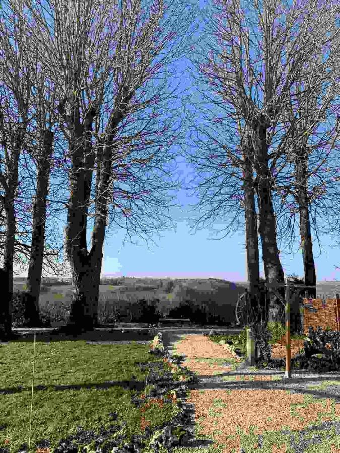 La Flavignienne Bed and Breakfast Flavigny-sur-Ozerain Buitenkant foto